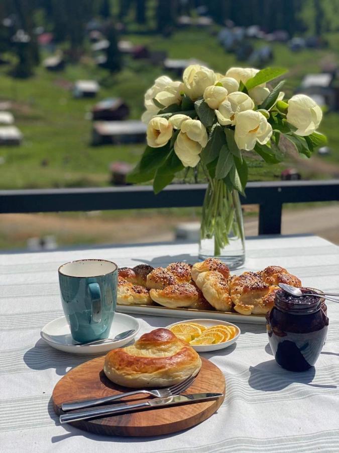 The Pioneers Hotel Bakhmaro Kültér fotó
